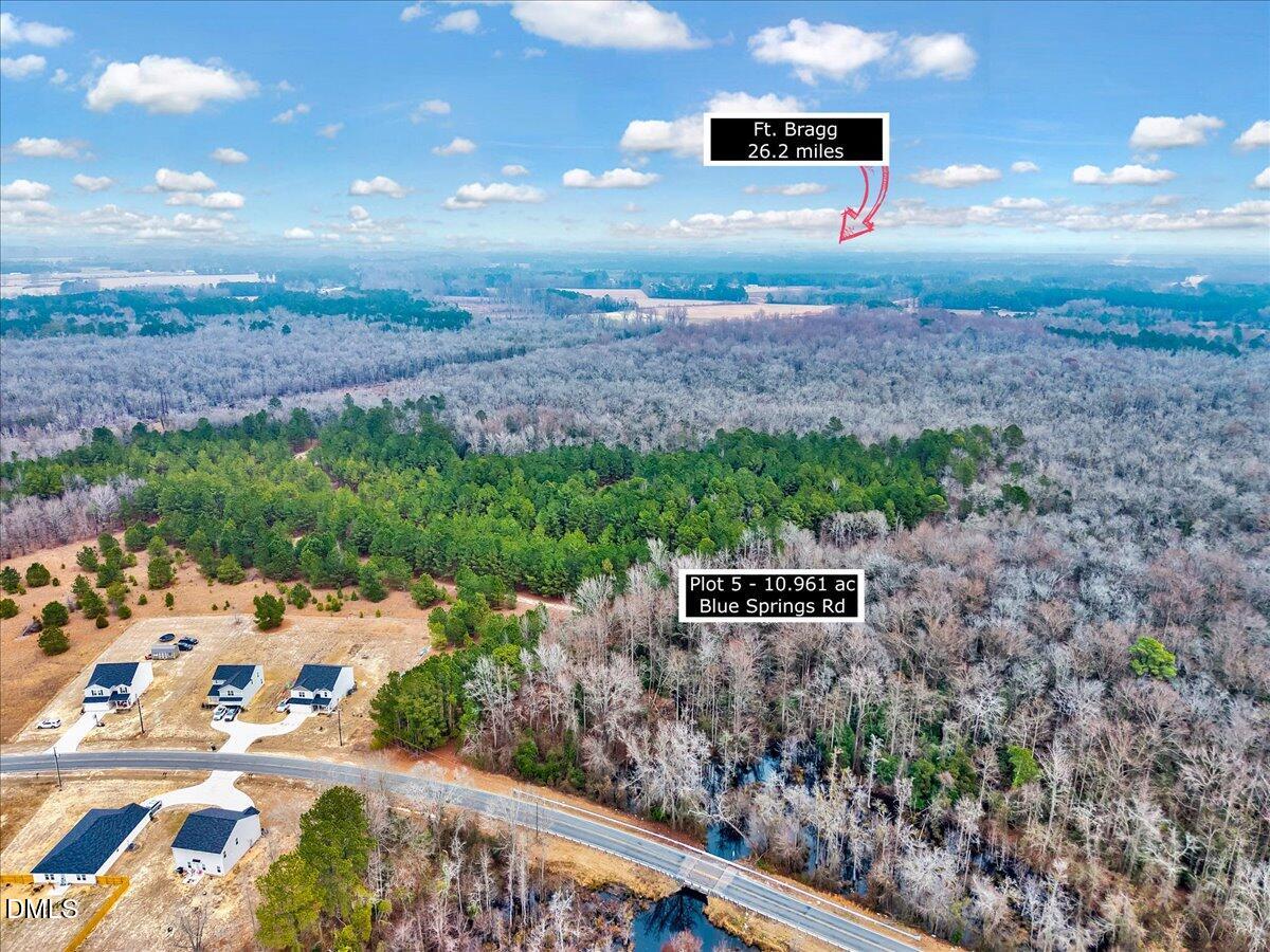 Lot 5 Blue Springs Road Red Springs, NC 28377 - Photo 4 of 9