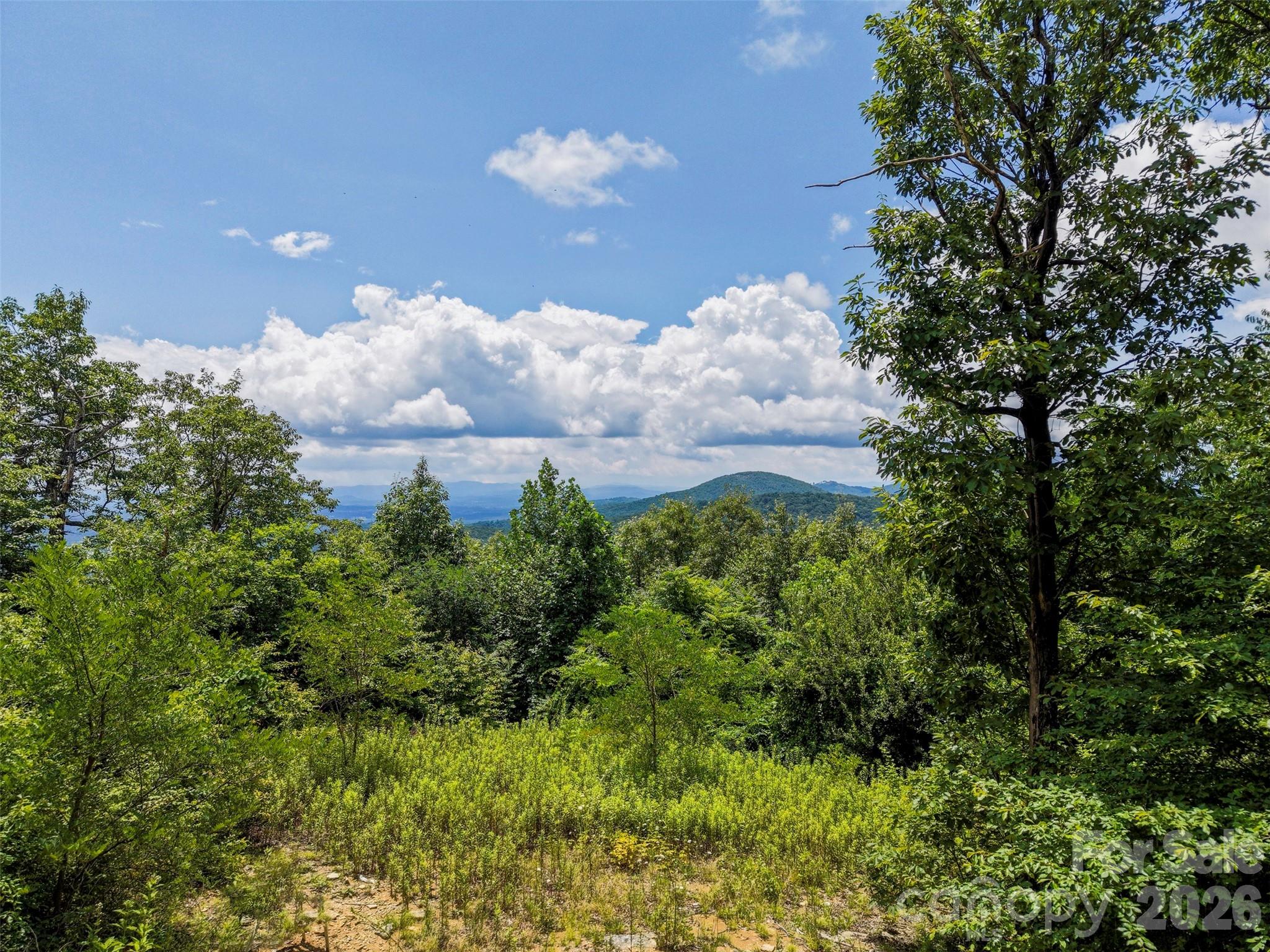 705 Pine Ridge Road, Unit 59 Hendersonville, NC 28792 - Photo 1 of 15 Gallery Image 1