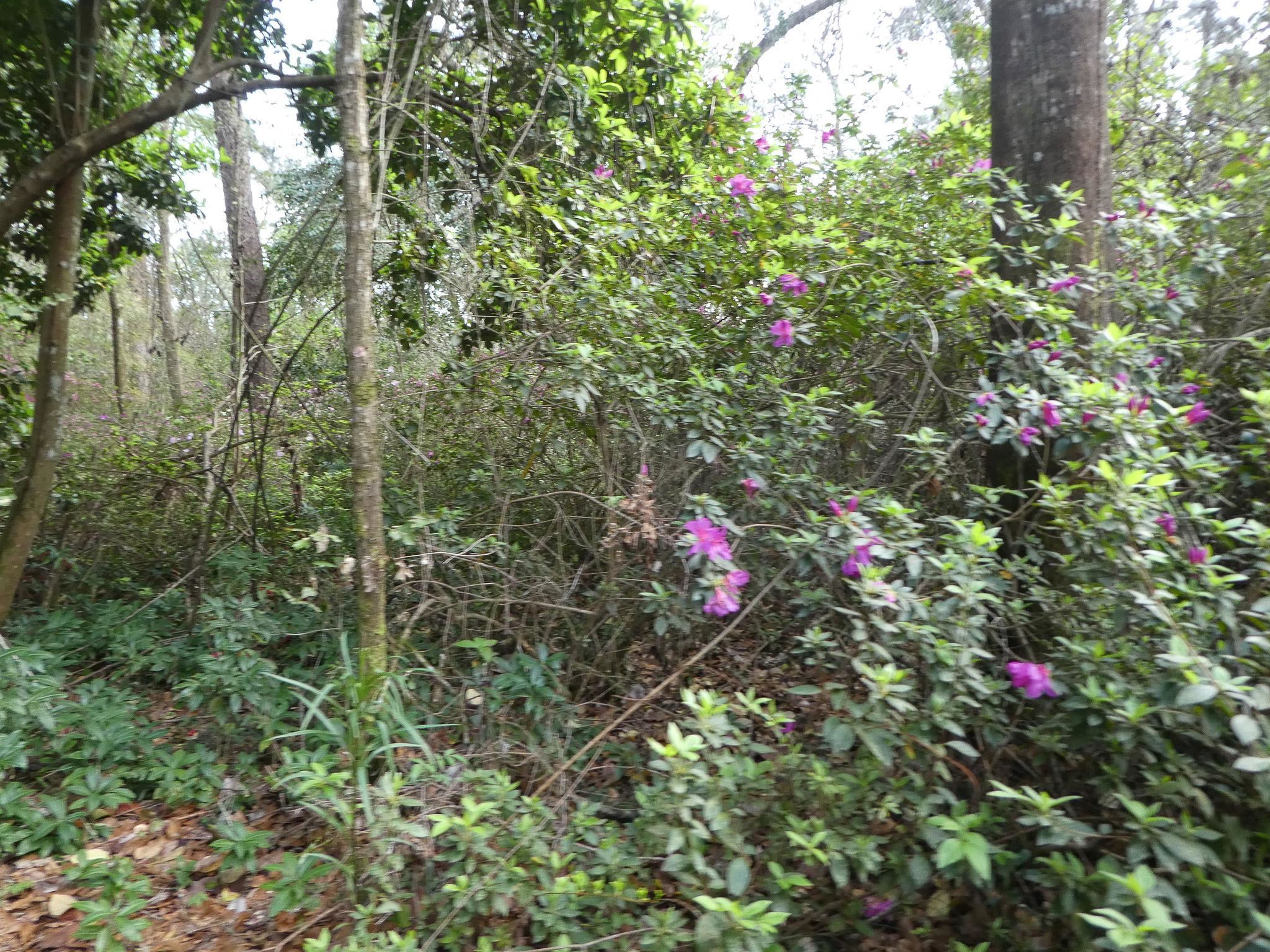 7115-7117 Thomasville Road Tallahassee, FL 32312 - Photo 16 of 61