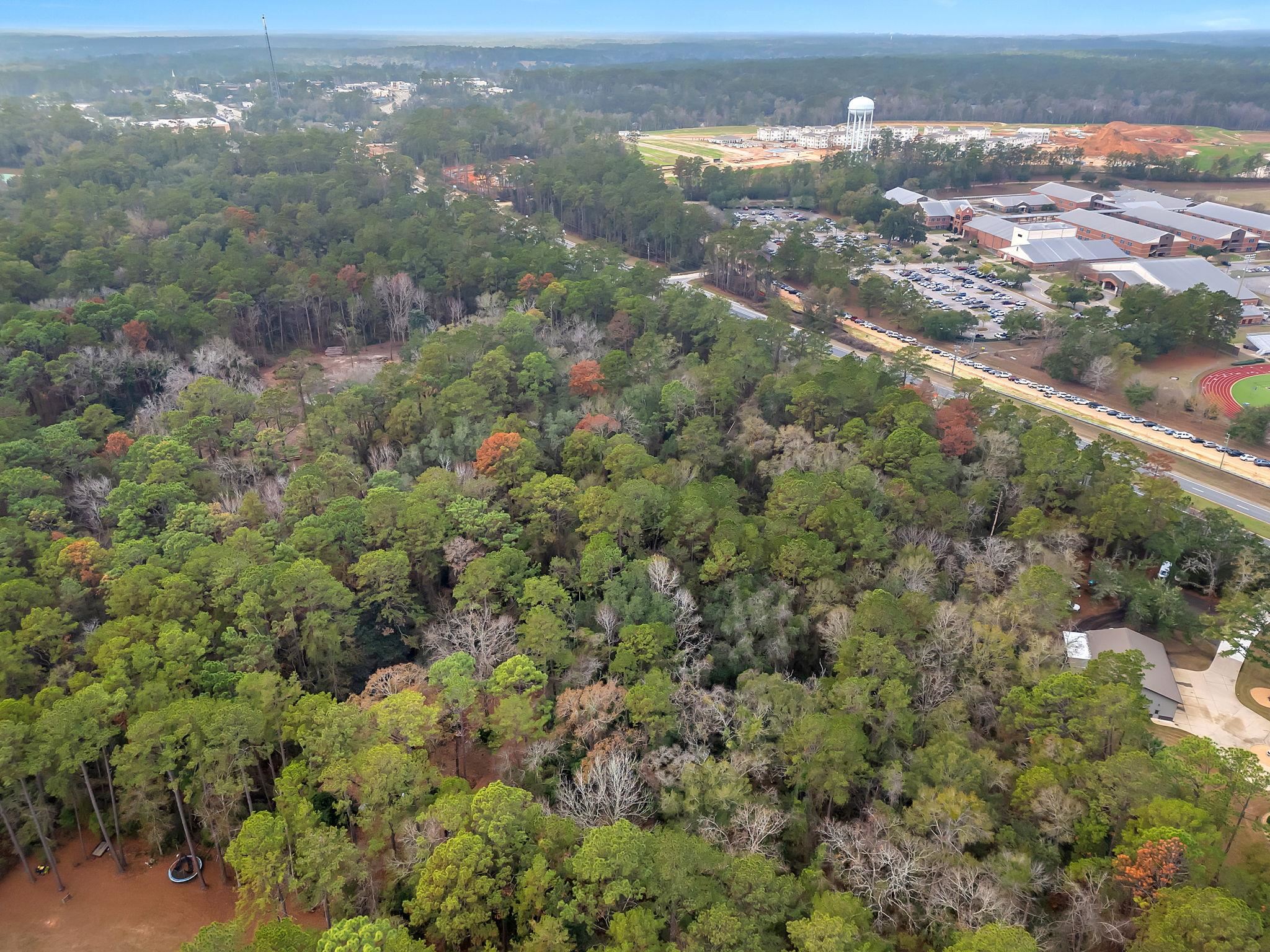 7115-7117 Thomasville Road Tallahassee, FL 32312 - Photo 29 of 61