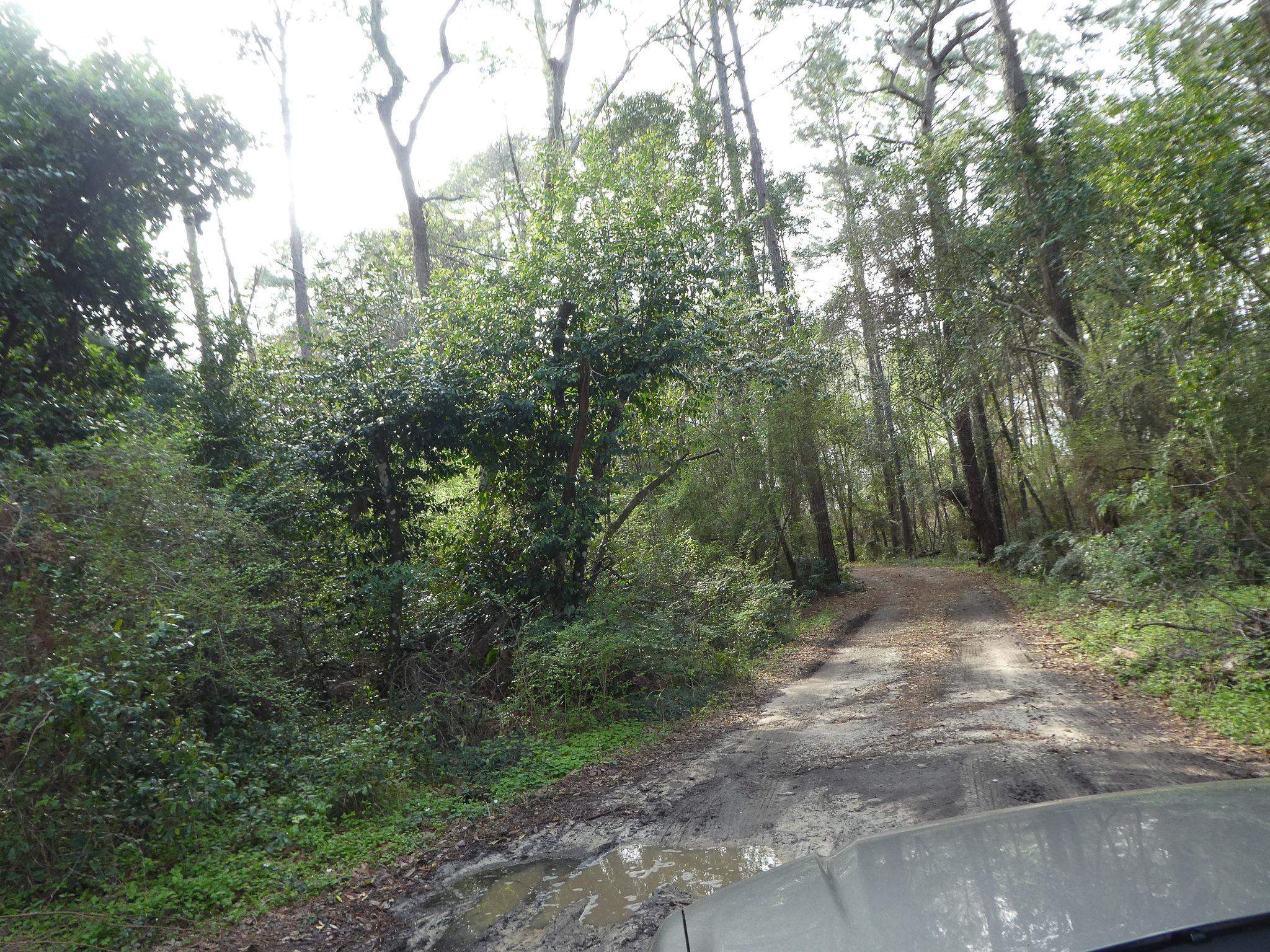 7115-7117 Thomasville Road Tallahassee, FL 32312 - Photo 3 of 61