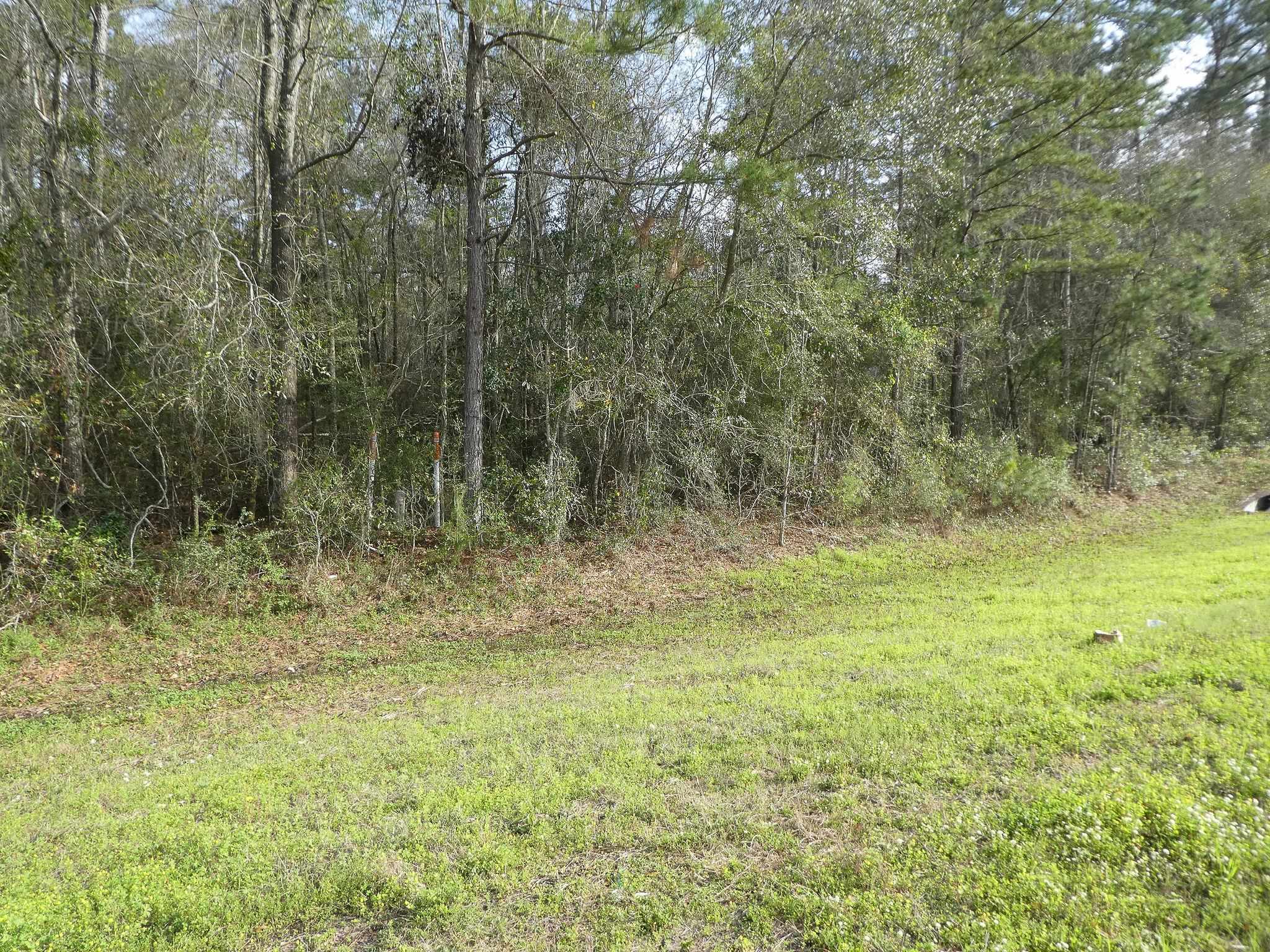 7115-7117 Thomasville Road Tallahassee, FL 32312 - Photo 4 of 61