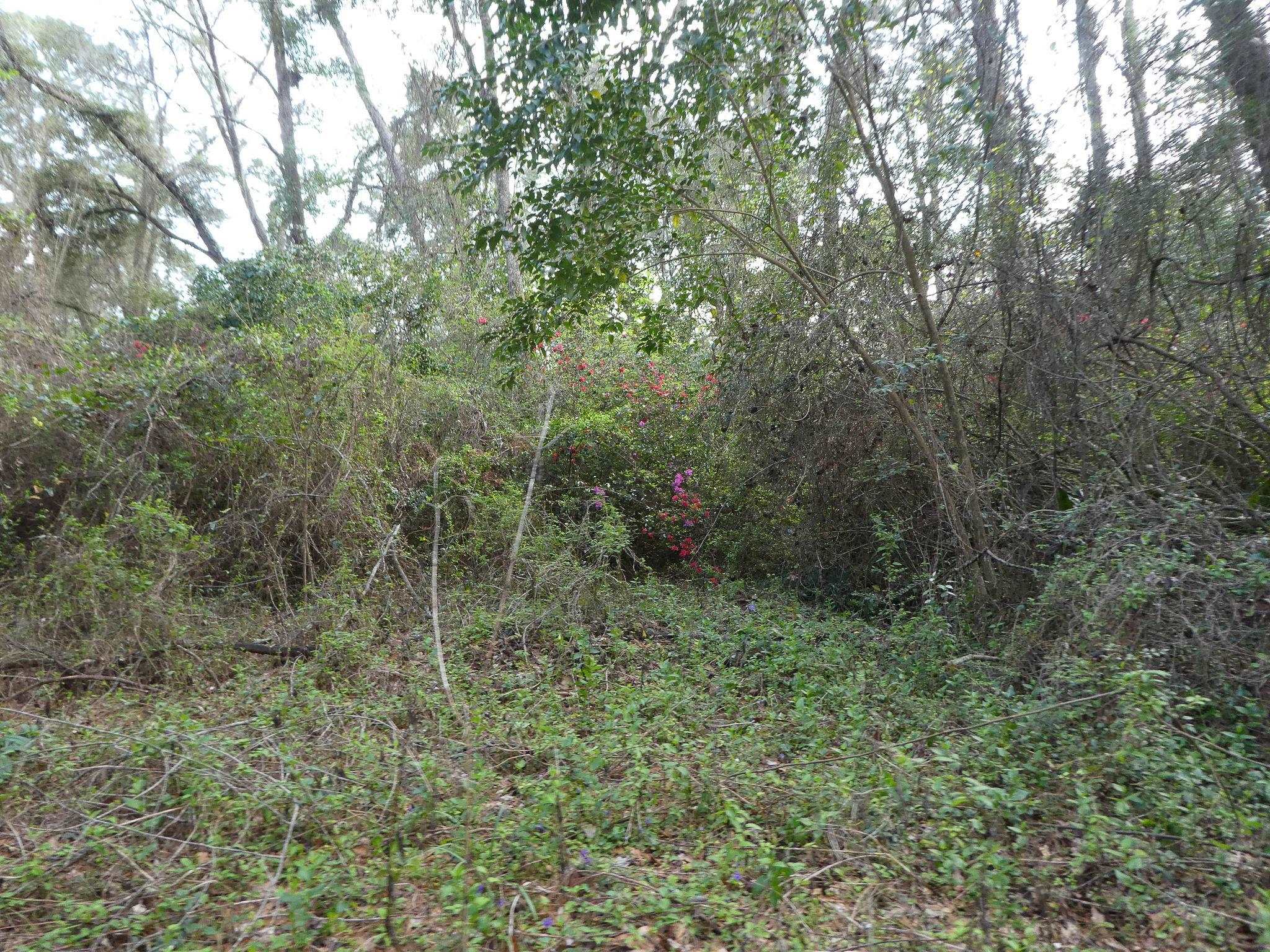 7115-7117 Thomasville Road Tallahassee, FL 32312 - Photo 5 of 61
