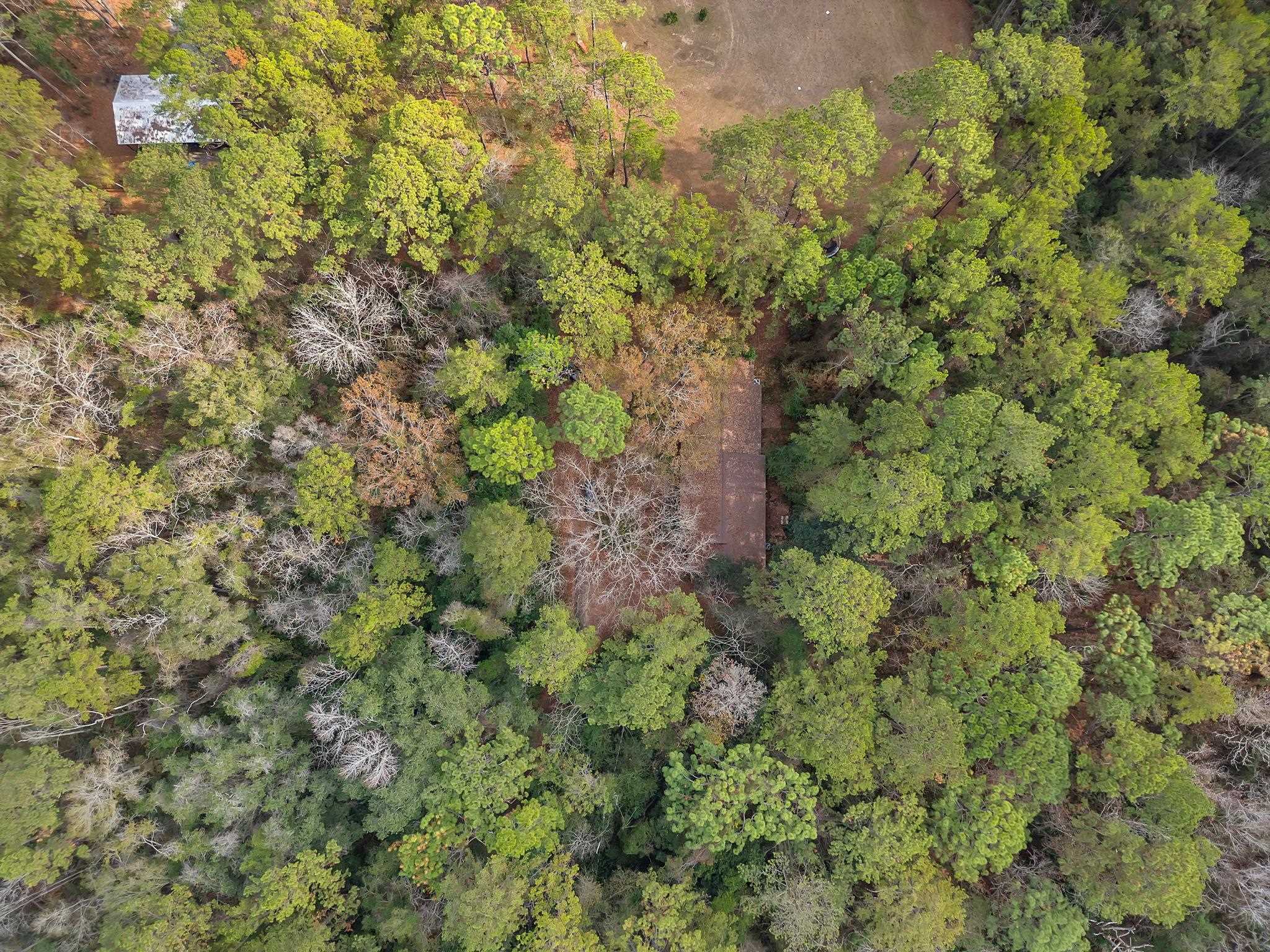 7115-7117 Thomasville Road Tallahassee, FL 32312 - Photo 53 of 61