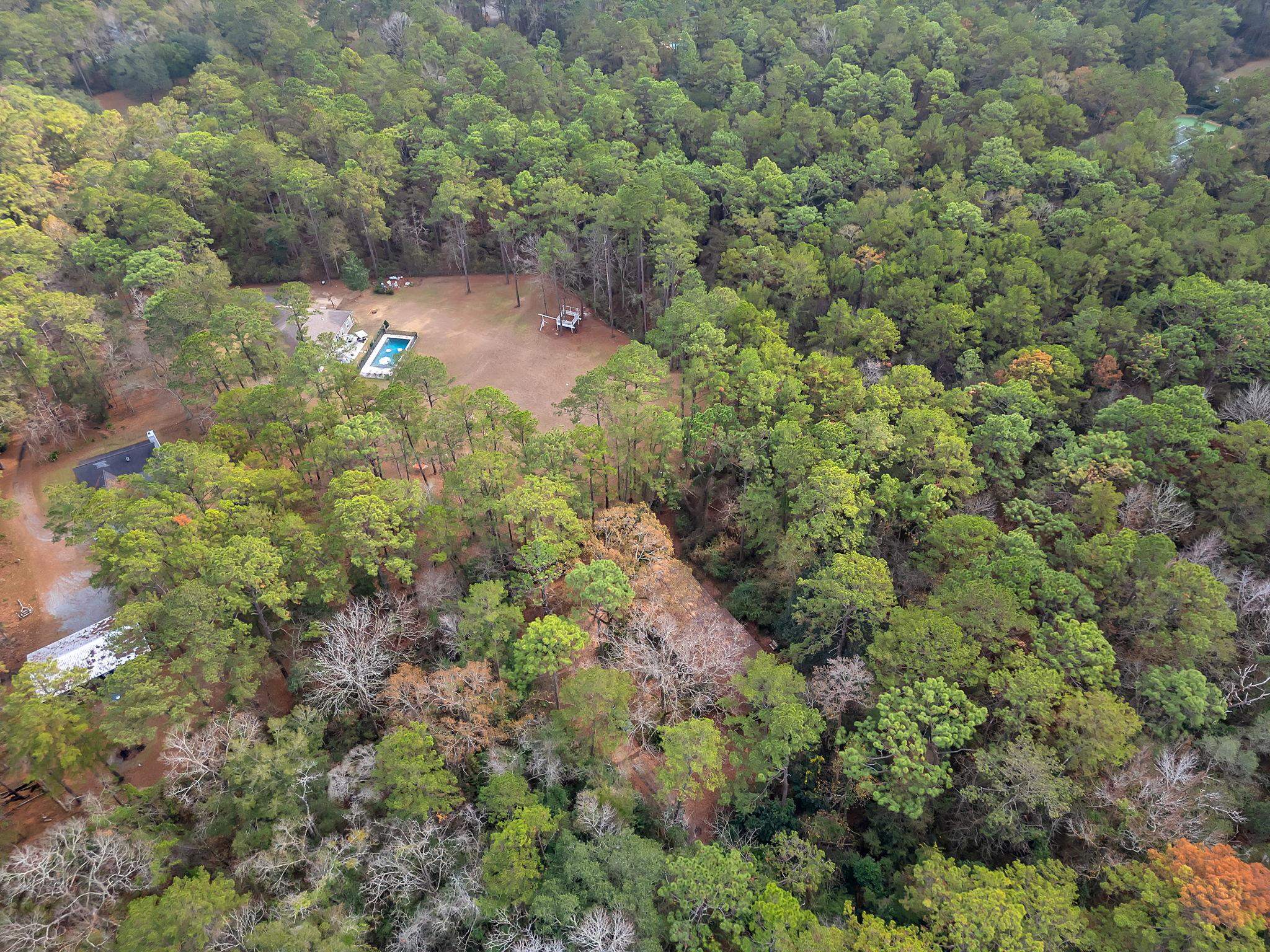 7115-7117 Thomasville Road Tallahassee, FL 32312 - Photo 55 of 61