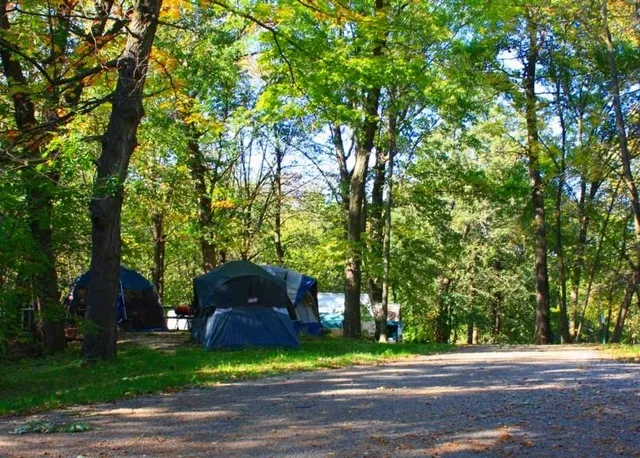 a view of a yard in front of a house