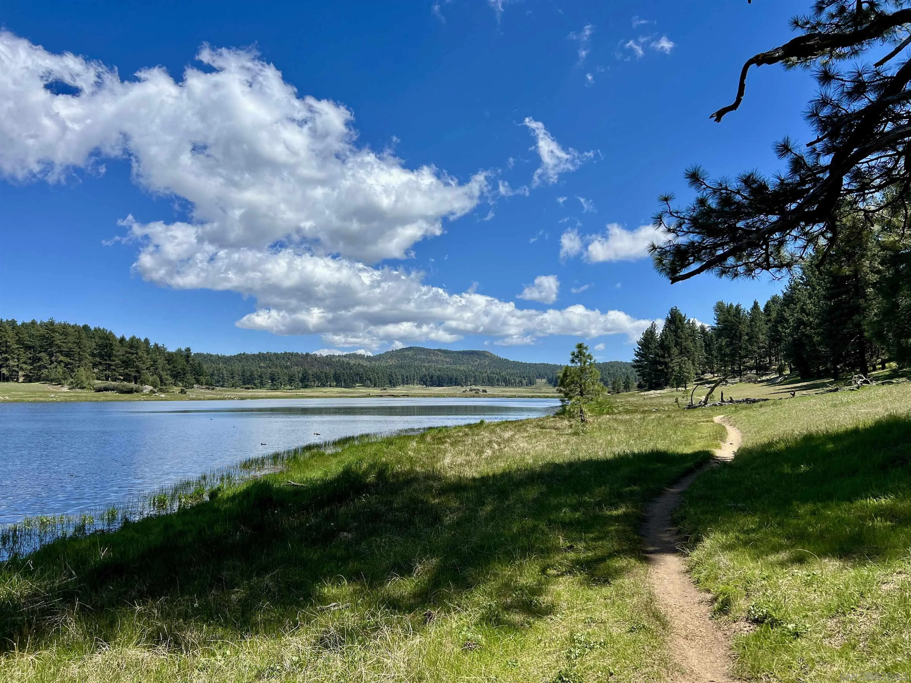 0 Highway 79 Julian, CA 92036 - Photo 5 of 11 a view of a lake with houses in the background