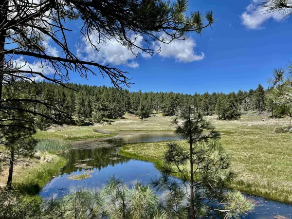 a view of a lake from a balcony
