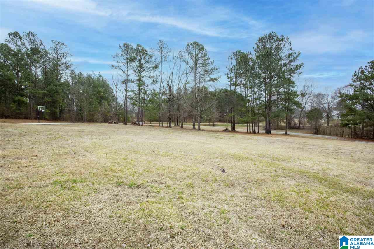 3540 Odens Mill Road Sylacauga, AL 35151 - Photo 16 of 23
