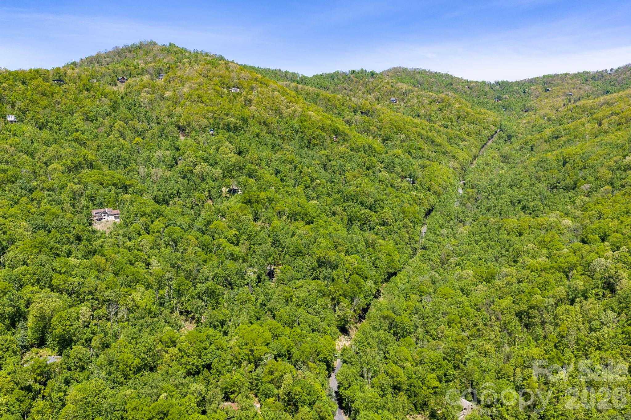 14 Weeping Cherry Forest Road Fairview, NC 28730 - Photo 35 of 44 a view of a large mountain with an outdoor space