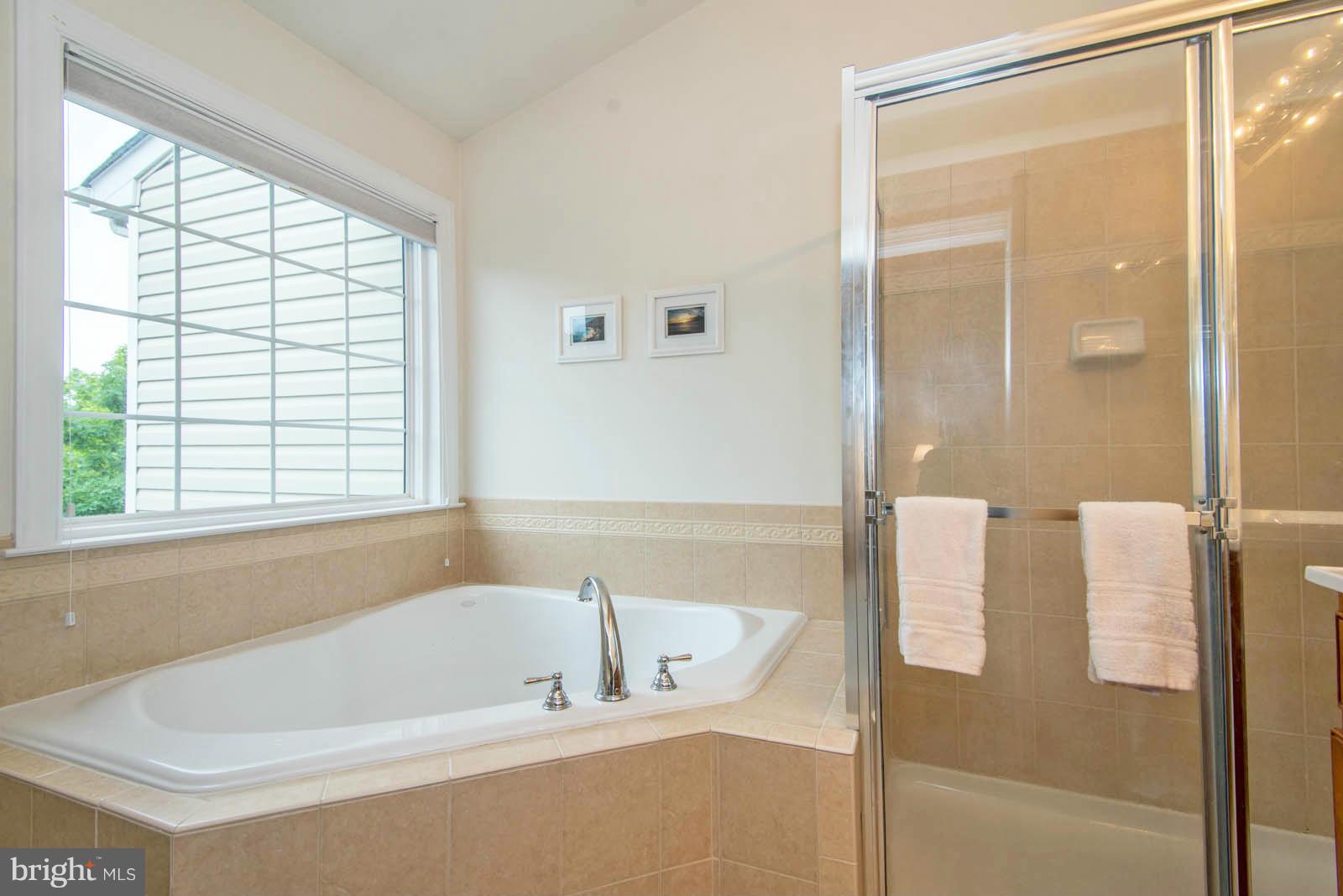 9189 Furey Road Lorton, VA 22079 - Photo 14 of 26 Bath (Master)