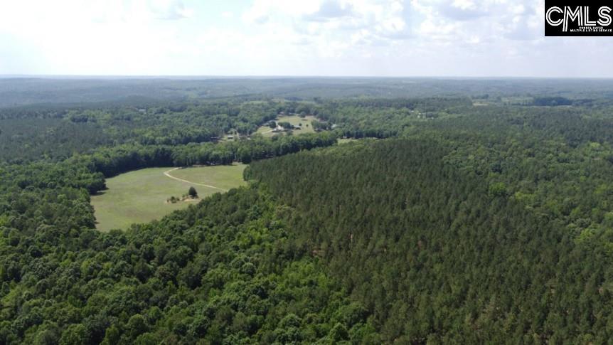 3296 Flat Rock Road Kershaw, SC 29067 - Photo 28 of 94