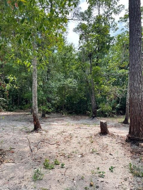 567 Harney Heights Road Geneva, FL 32732 - Photo 29 of 30 Gallery Image 29