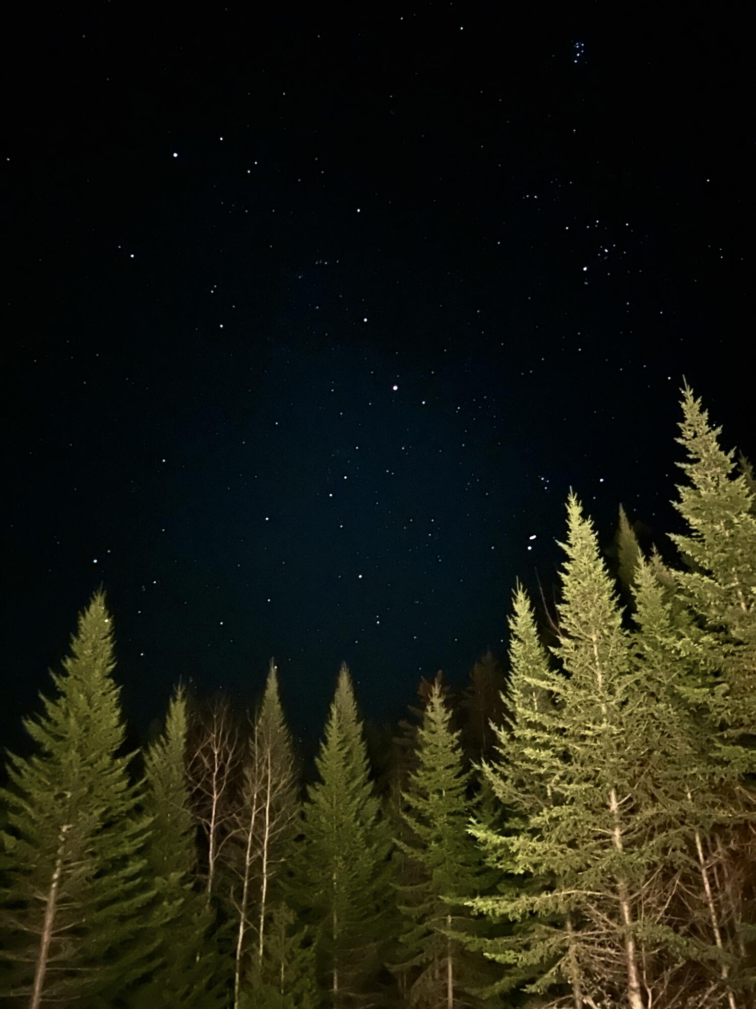 170 Partridge Cove Road Lamoine, ME 04605 - Photo 41 of 54 Starry Nights from Deck