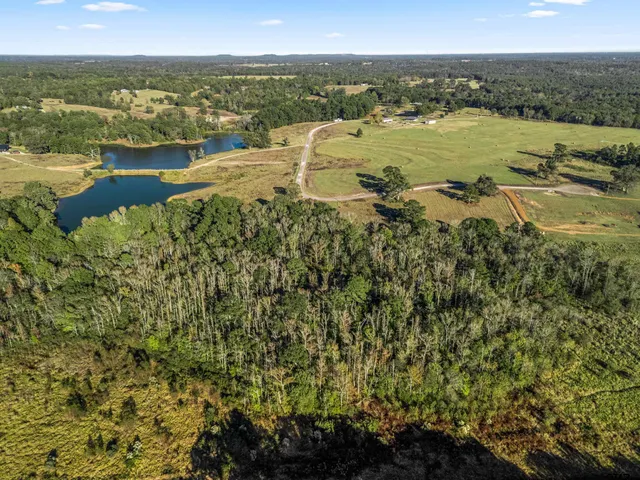 a view of a city with ocean view