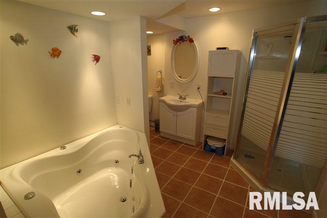 11867 Coon Hunters Road Blue Grass, IA 52726 - Photo 9 of 10 Gallery Image 9