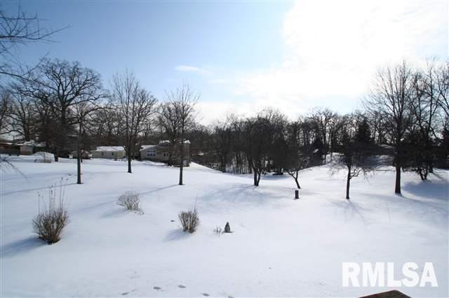 11867 Coon Hunters Road Blue Grass, IA 52726 - Photo 10 of 10 Gallery Image 10