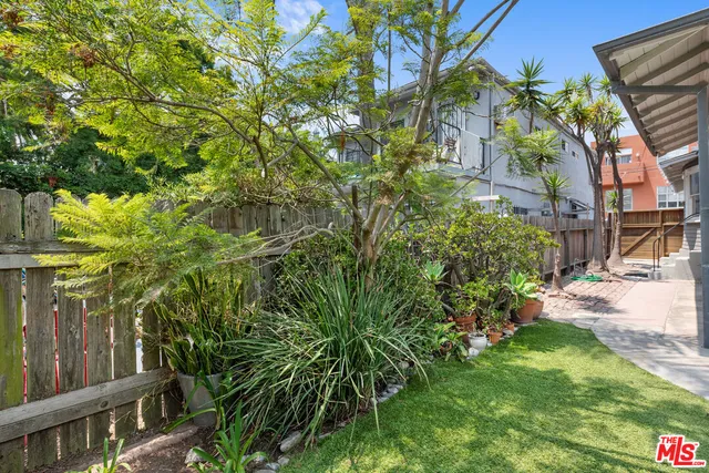 a view of a backyard with plants and a fountain