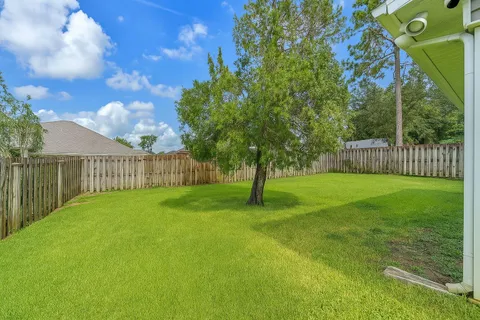 a view of a garden with a tree