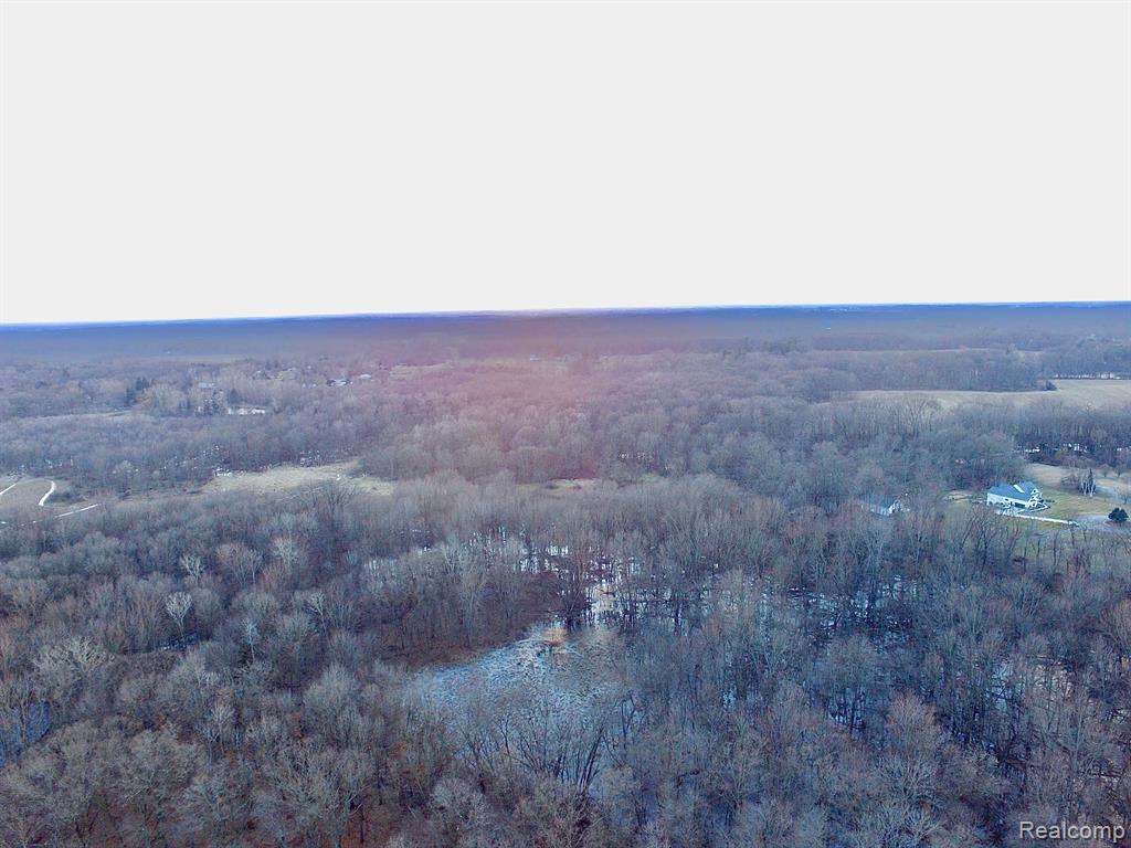 024 Howlett Road Gregory, MI 48137 - Photo 4 of 9