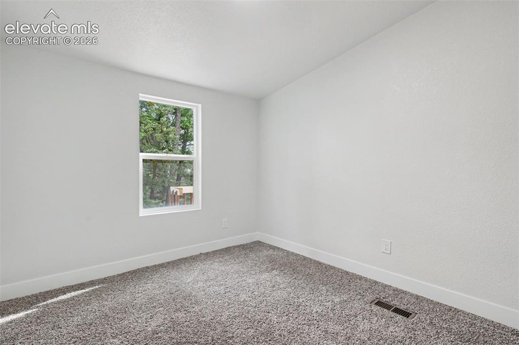 151 Banner Trail Florissant, CO 80816 - Photo 40 of 50