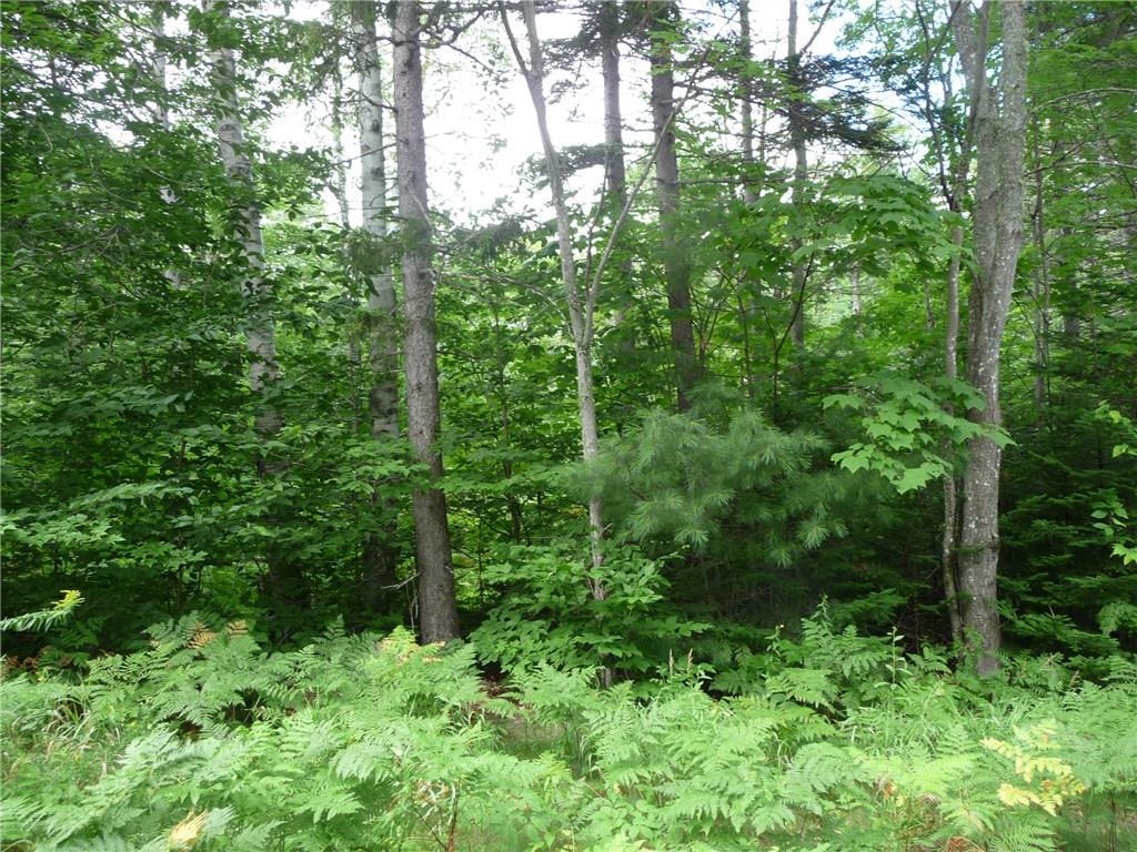 2032 Hillside Road Kingfield, ME 04947 - Photo 7 of 10 There seems to be an open area...