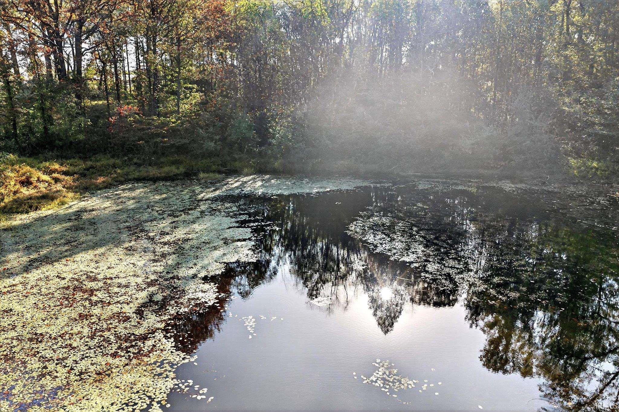 Tbd South Burch Road Bloomington, IN 47403 - Photo 17 of 20