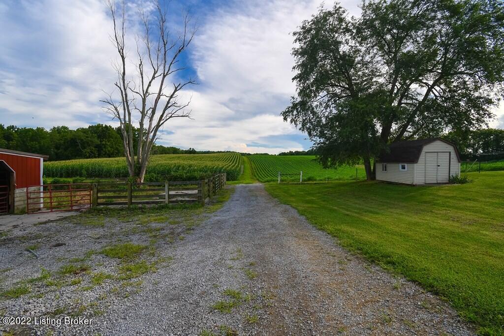 6446 Helena Road Mayslick, KY 41055 - Photo 59 of 68 39128_43