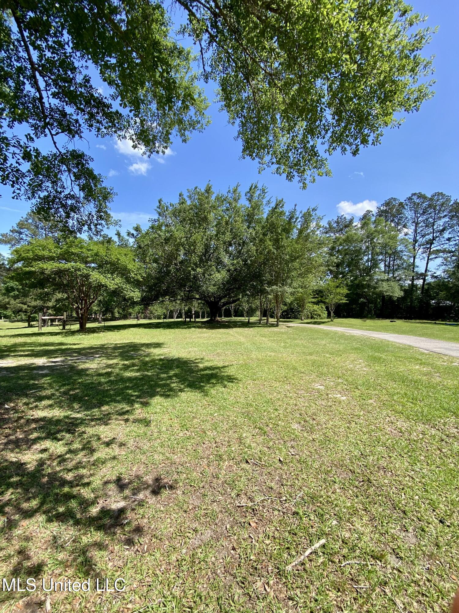 104 Baucum Road Carriere, MS 39426 - Photo 47 of 68 47, Property, IMG_3569