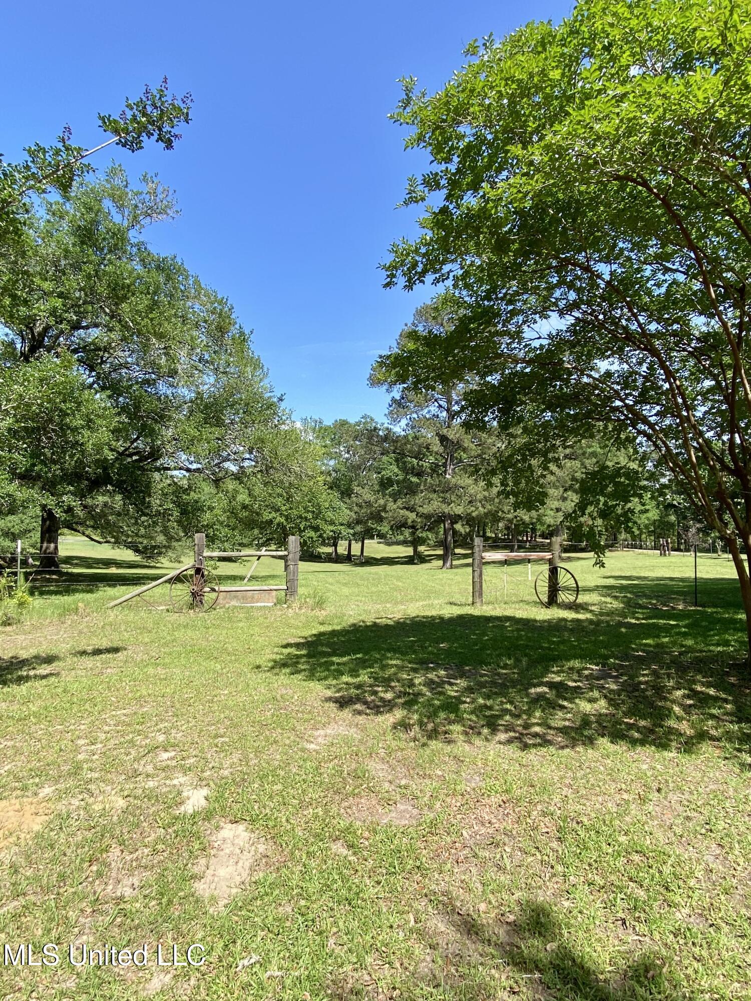 104 Baucum Road Carriere, MS 39426 - Photo 53 of 68 53, Property, IMG_3570