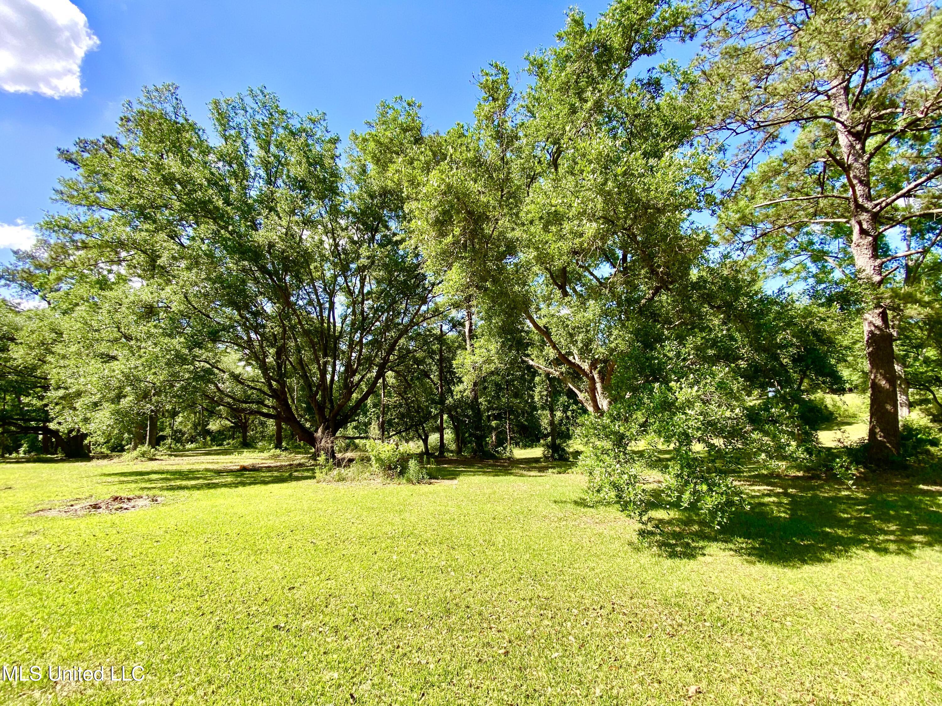 104 Baucum Road Carriere, MS 39426 - Photo 60 of 68 60, Property, IMG_3620
