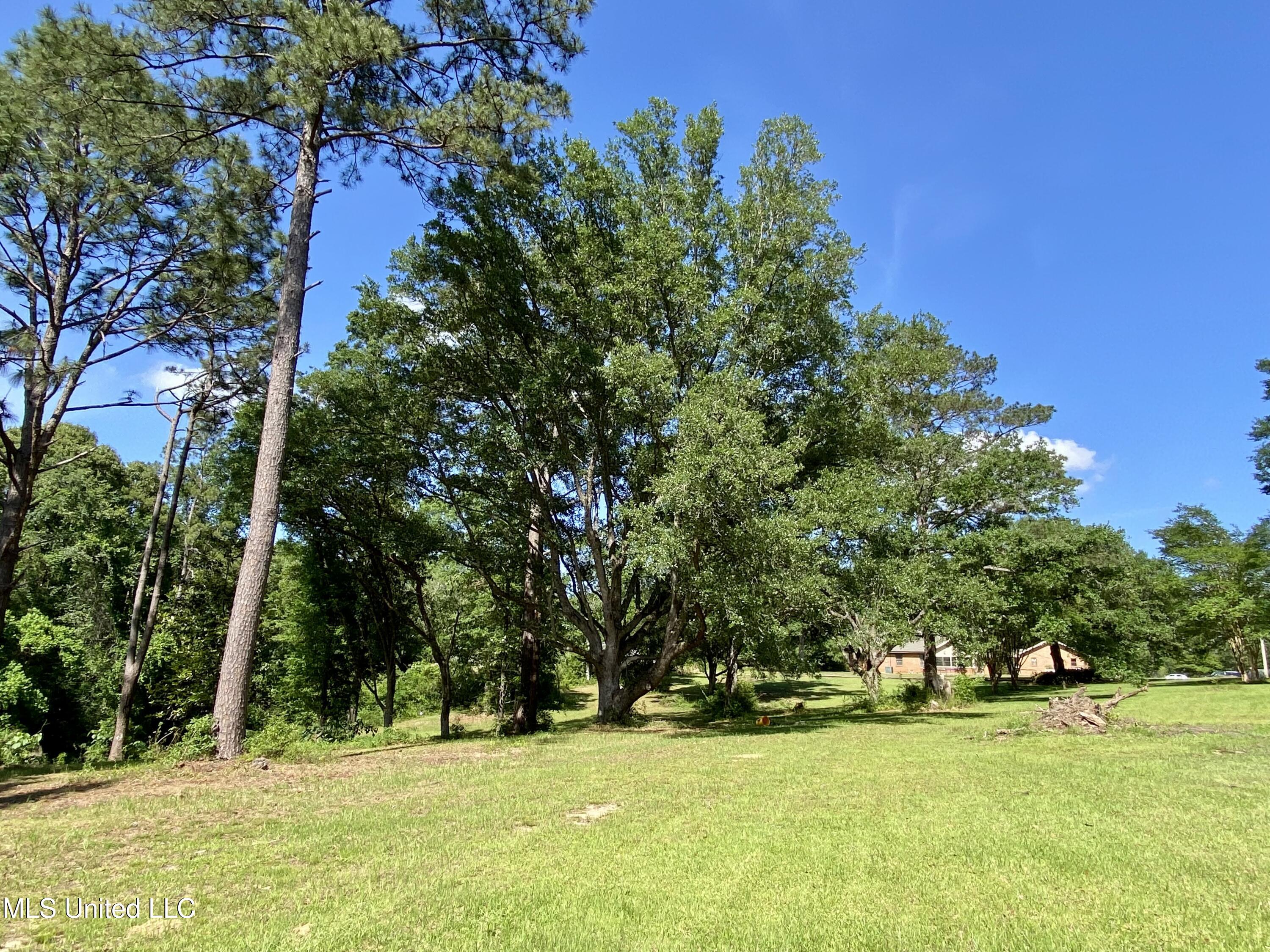 104 Baucum Road Carriere, MS 39426 - Photo 62 of 68 62, Property, IMG_3622