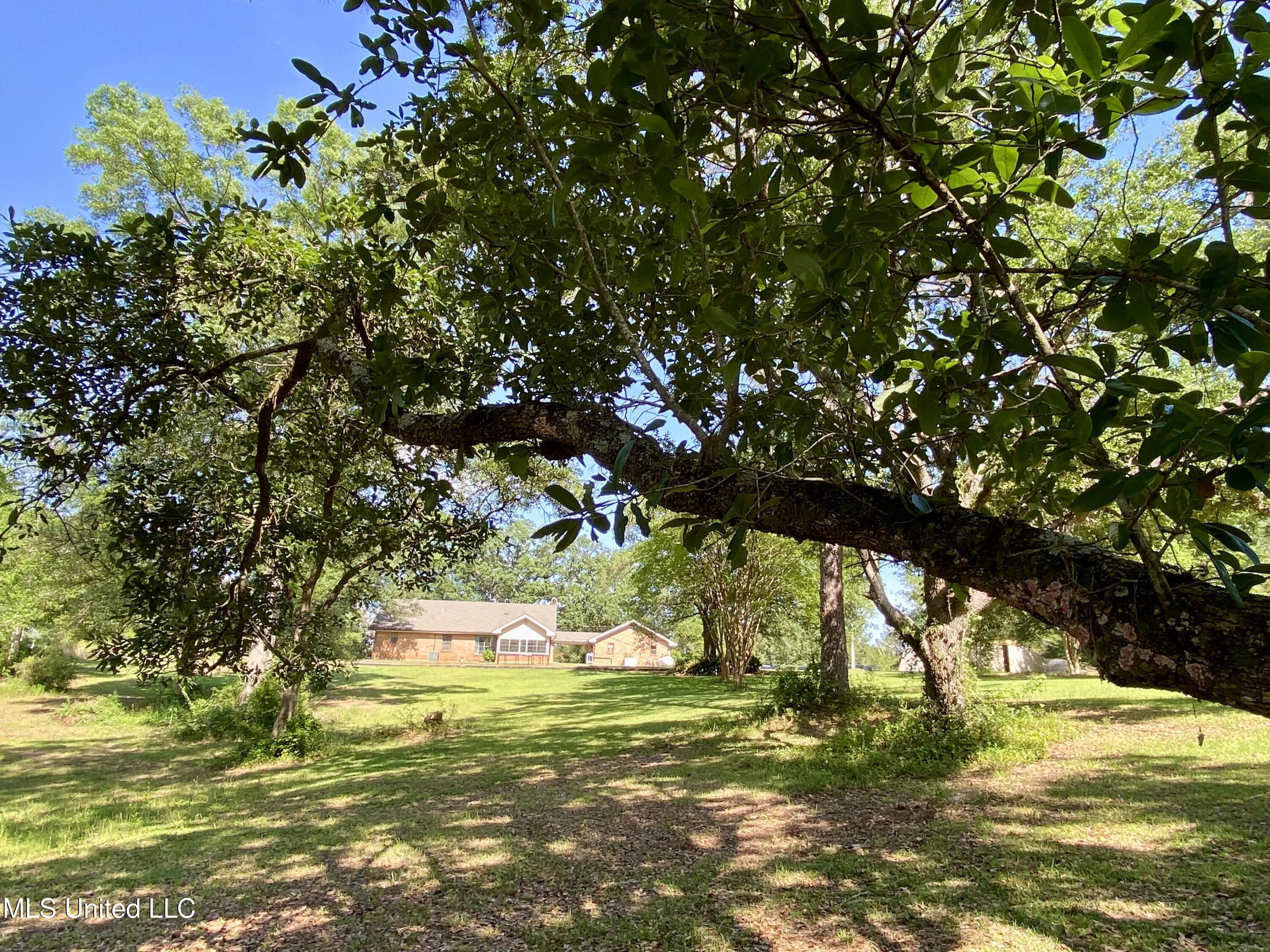 104 Baucum Road Carriere, MS 39426 - Photo 64 of 68 64, Property, IMG_3625