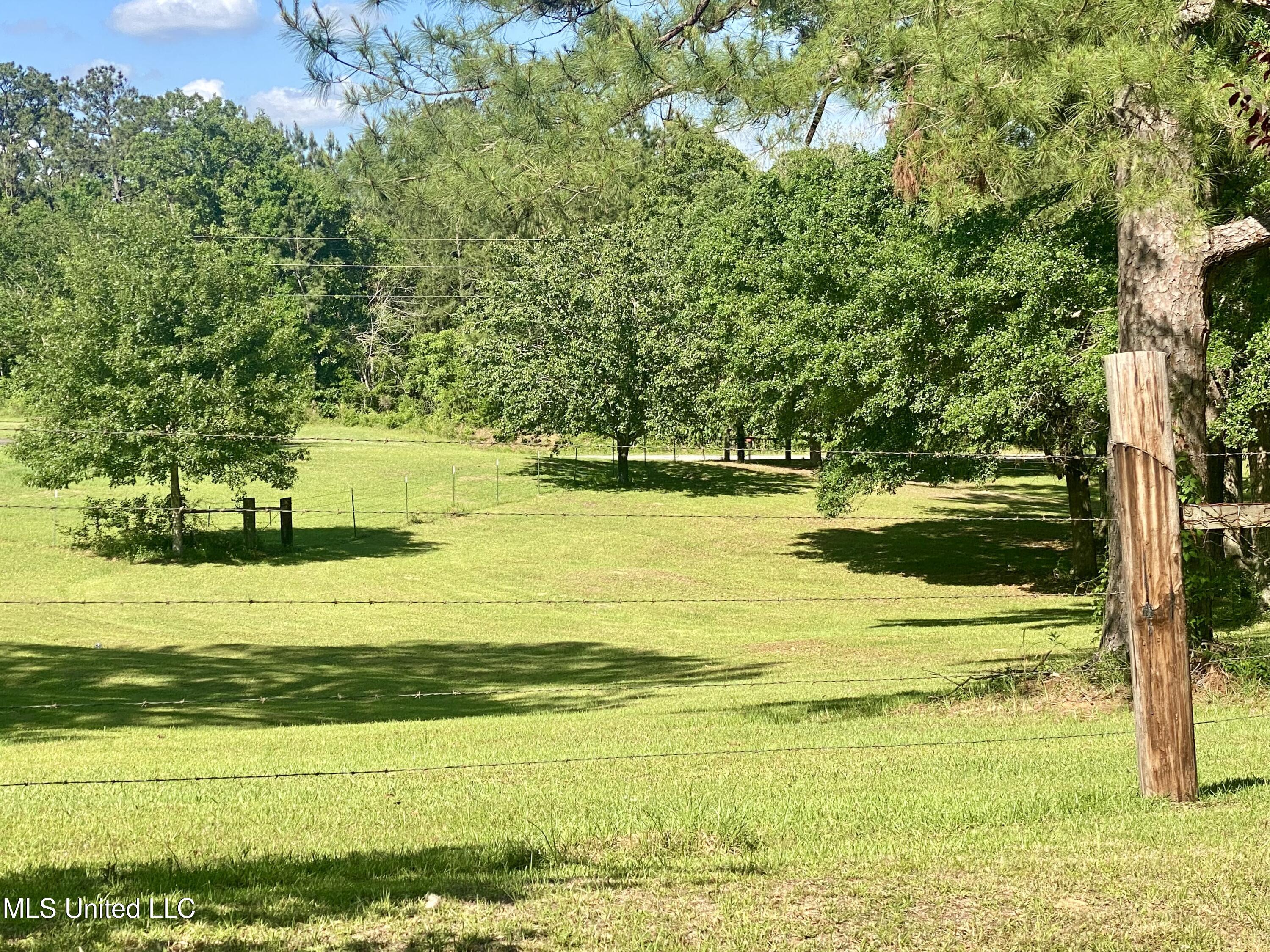 104 Baucum Road Carriere, MS 39426 - Photo 66 of 68 66, Property, IMG_3633