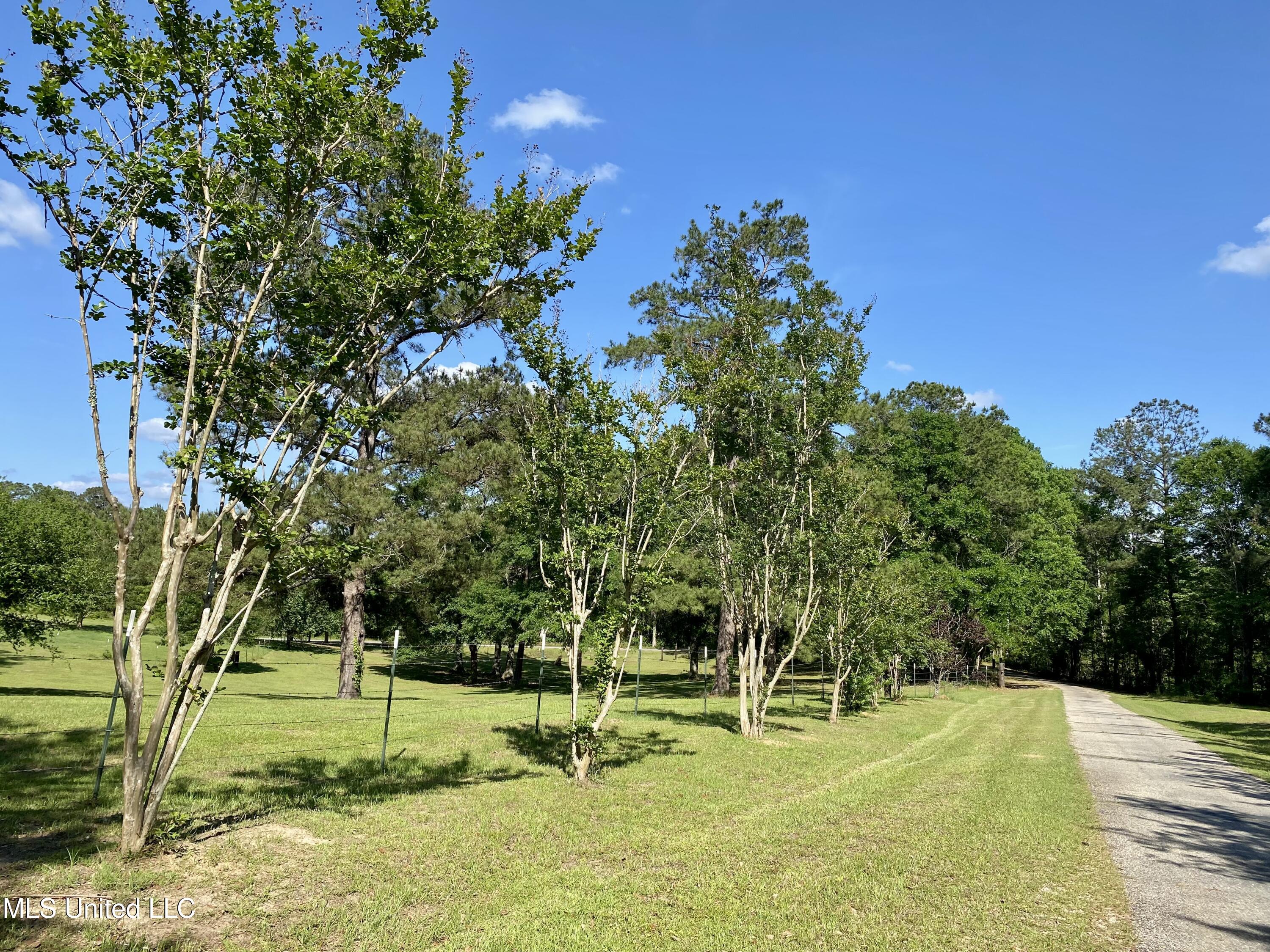 104 Baucum Road Carriere, MS 39426 - Photo 68 of 68 68, Property, IMG_3630