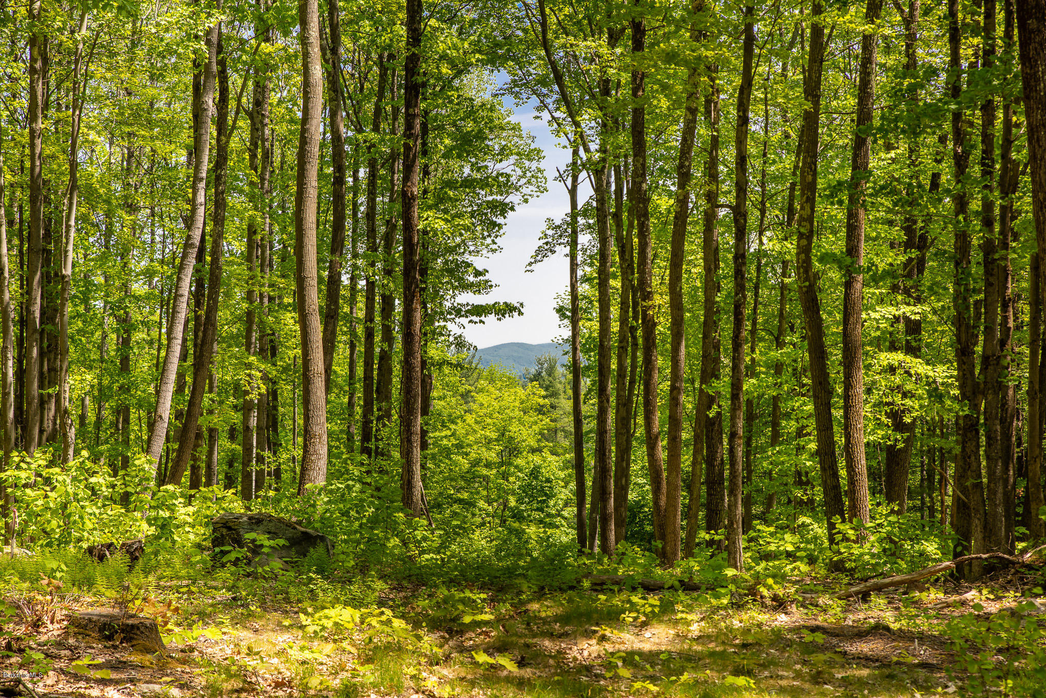 9 Campion Farms Road Stockbridge, MA 01262 - Photo 1 of 8 LONG VIEWS-THE LEDGES PARCEL