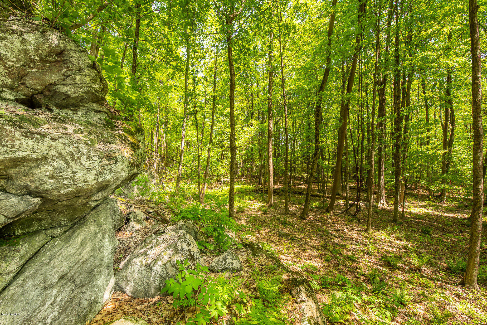 9 Campion Farms Road Stockbridge, MA 01262 - Photo 2 of 8 LEDGES AND ROCK WALLS