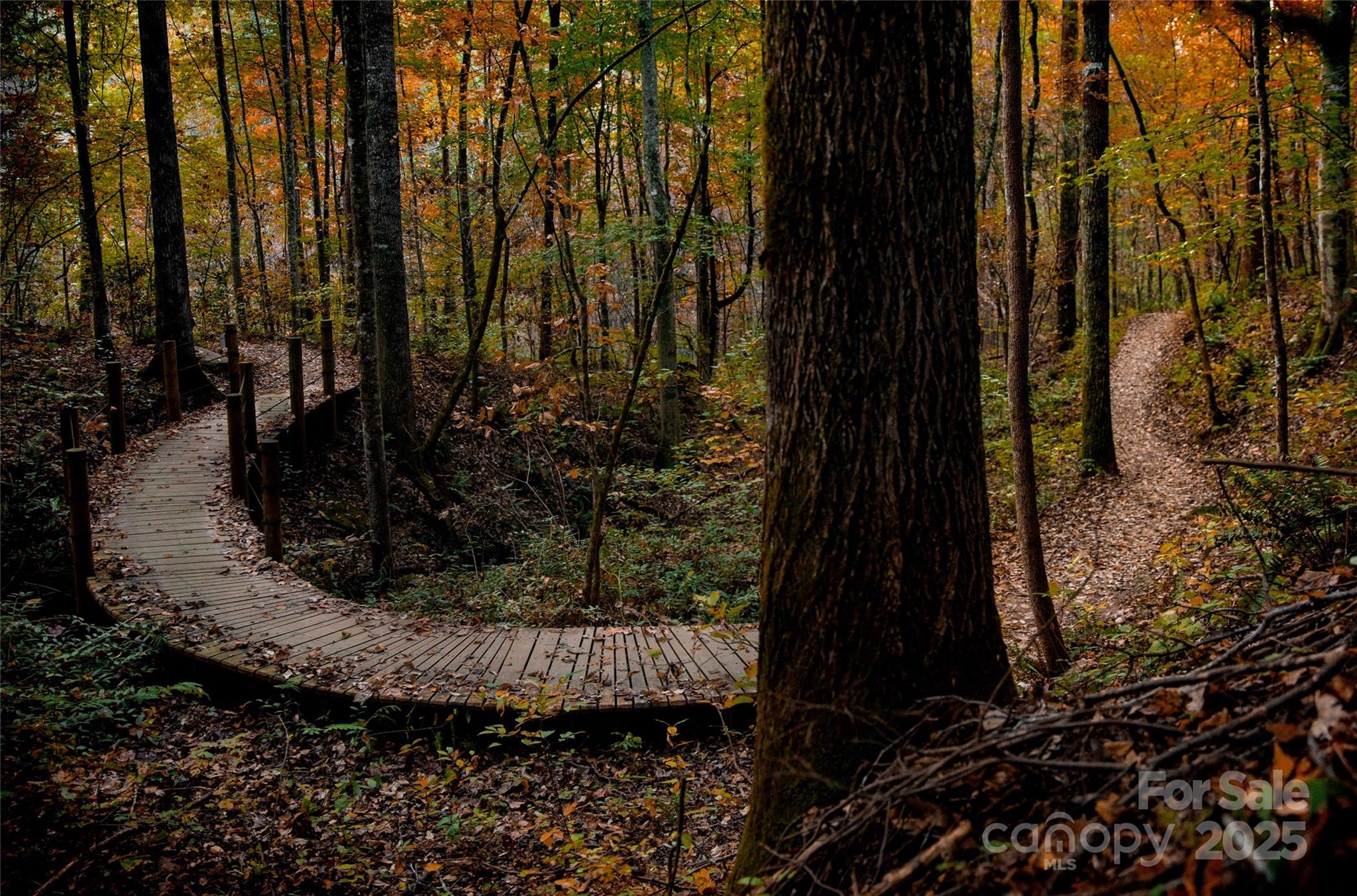 Lot 96 Chalet Rd Lake Lake Lure, NC 28746 - Photo 12 of 14 a view of outdoor space with garden