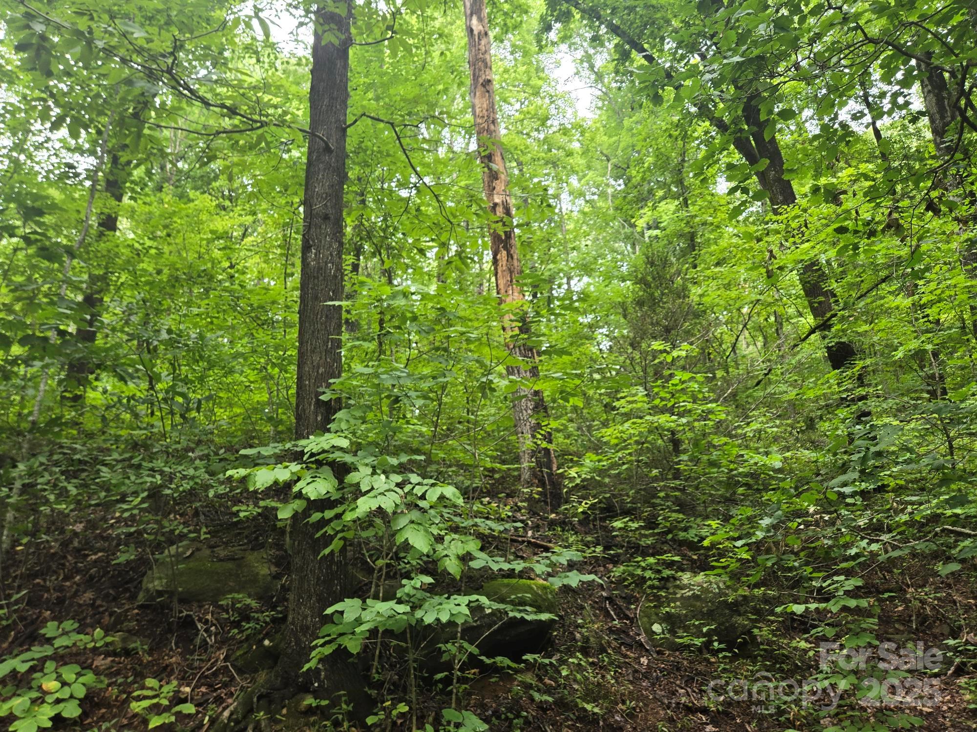 Lot 96 Chalet Rd Lake Lake Lure, NC 28746 - Photo 2 of 14