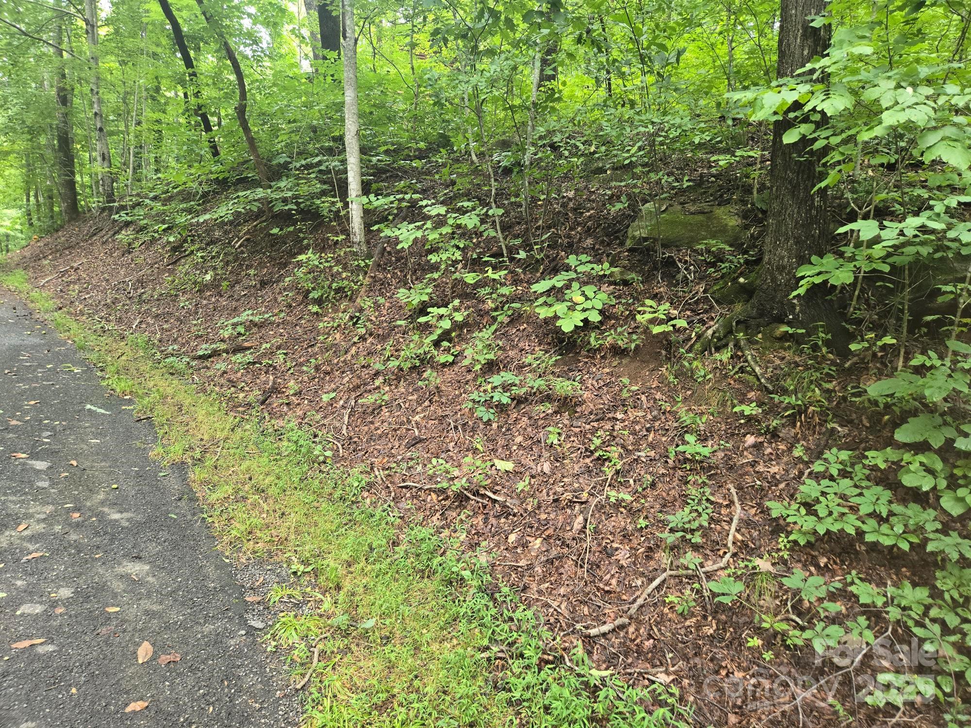 Lot 96 Chalet Rd Lake Lake Lure, NC 28746 - Photo 3 of 14 a big yard with lots of green space and house in the back