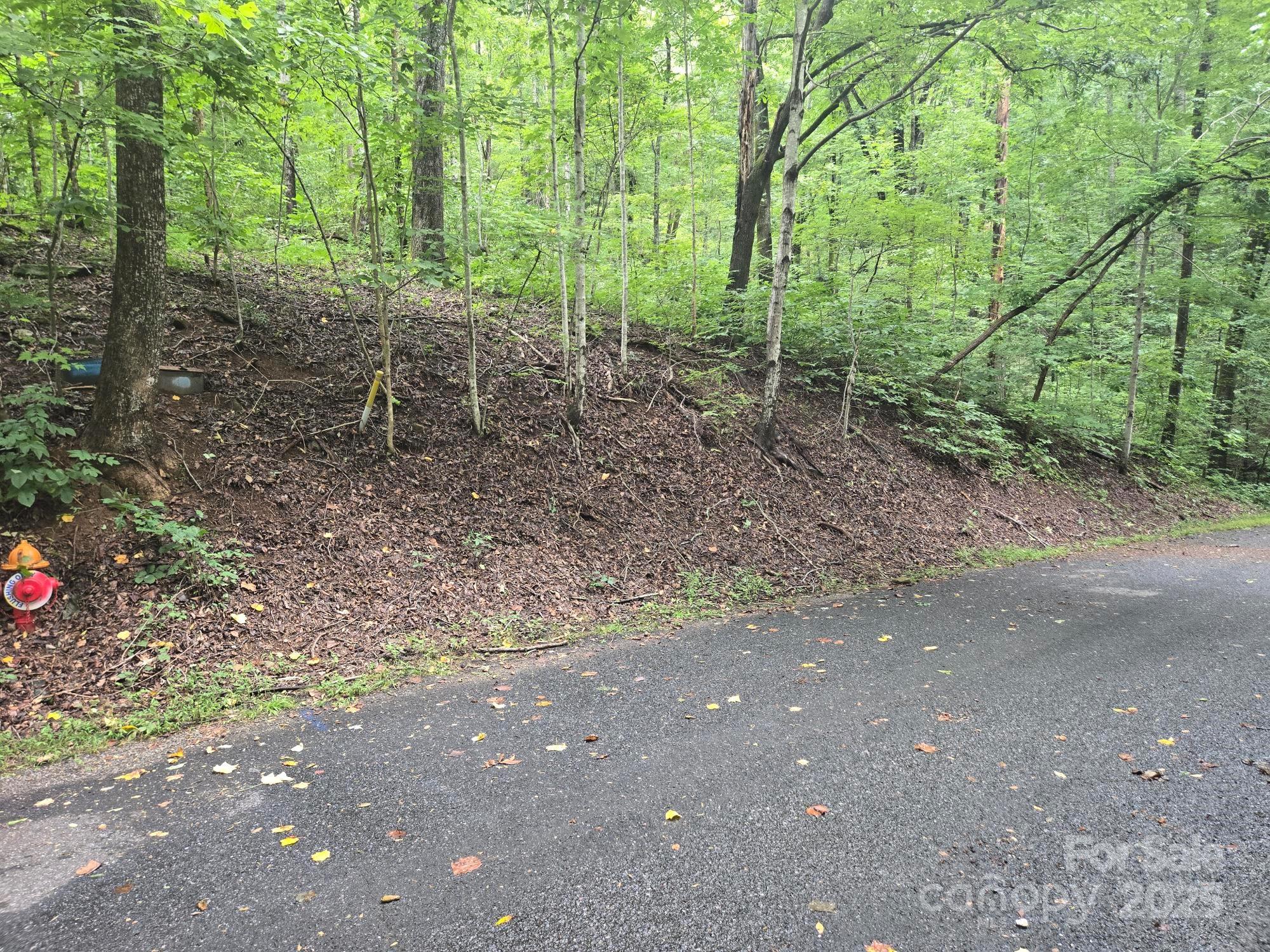 Lot 96 Chalet Rd Lake Lake Lure, NC 28746 - Photo 5 of 14 a view of a forest with trees in the background