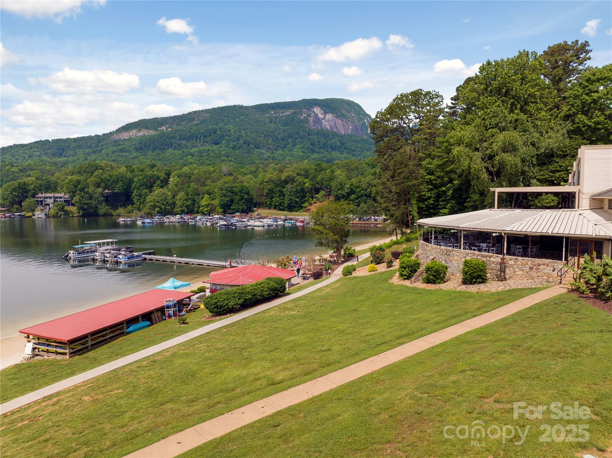 Lot 96 Chalet Rd Lake Lake Lure, NC 28746 - Photo 6 of 14 a view of a lake with a mountain in the background