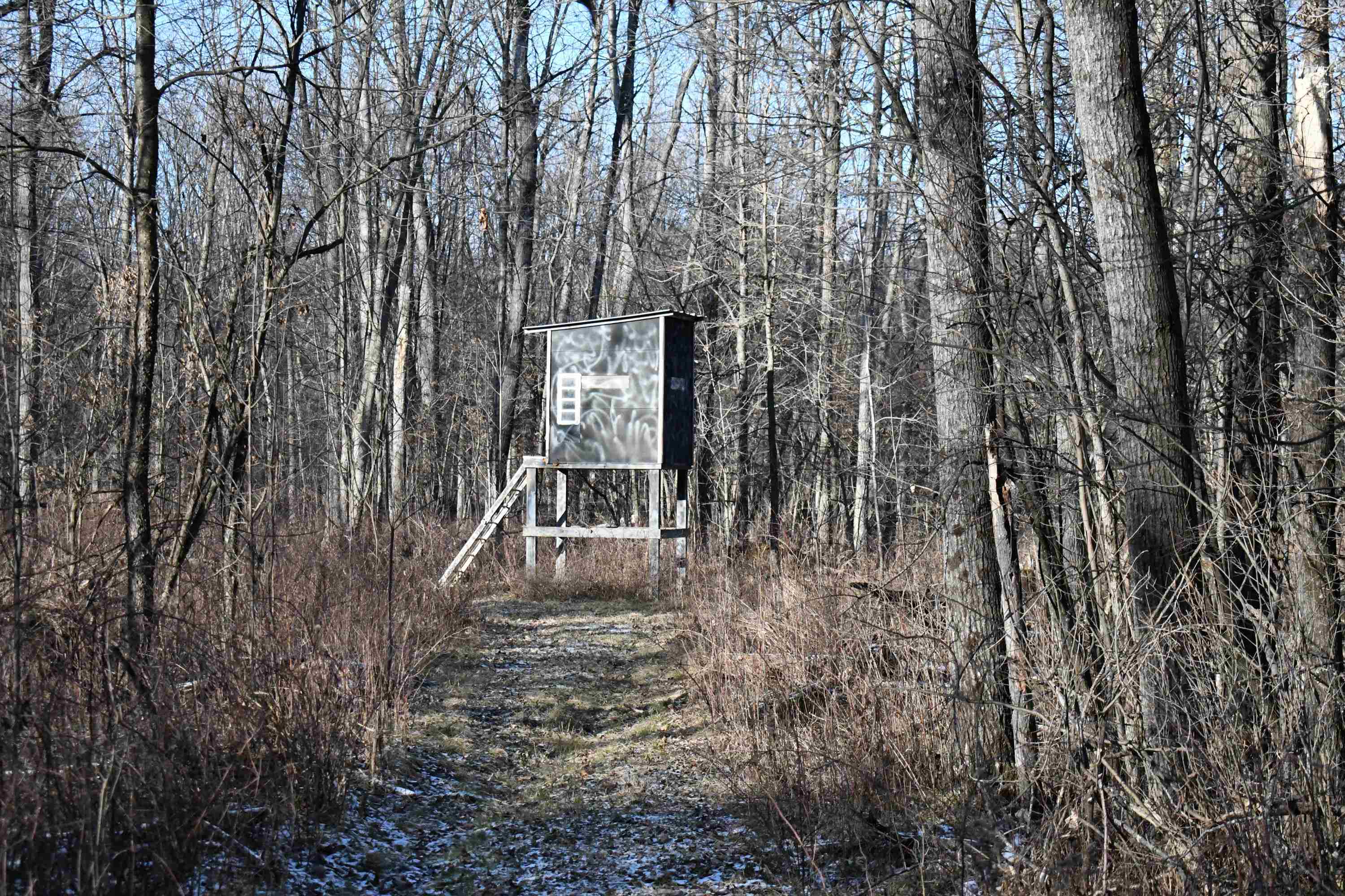 3471 Crosby Road Turner, MI 48765 - Photo 21 of 49 Gallery Image 21