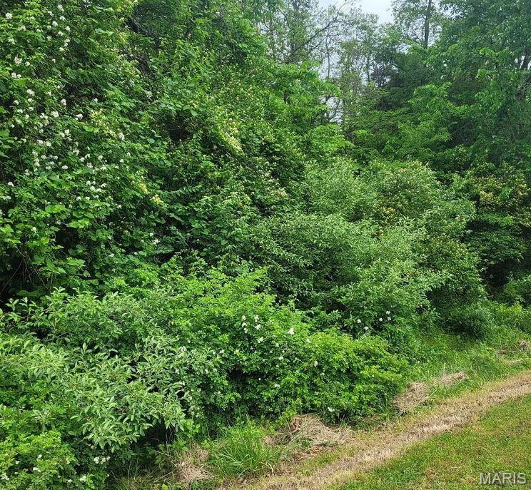 16342 Clayton Road Wildwood, MO 63011 - Photo 2 of 4