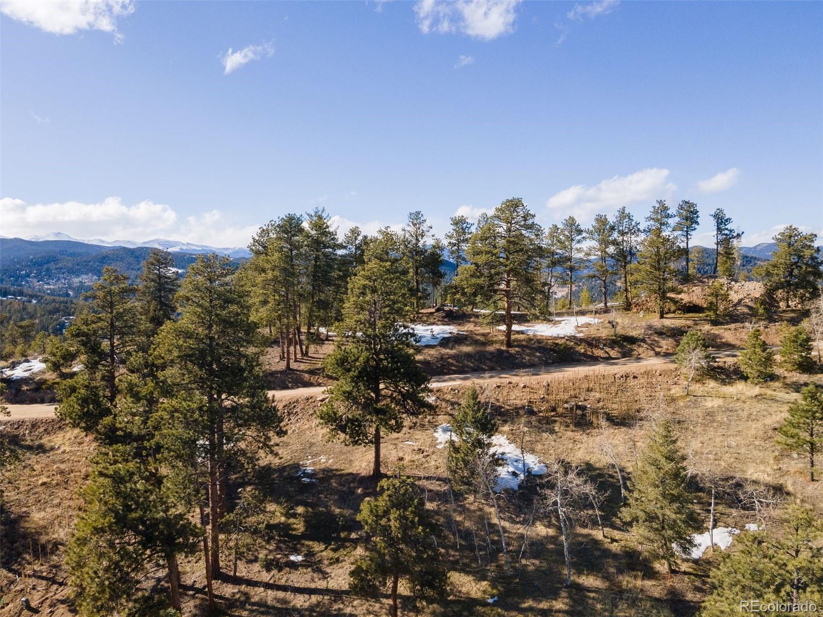 7142 Lynx Lair Road Evergreen, CO 80439 - Photo 3 of 7 a view of a city