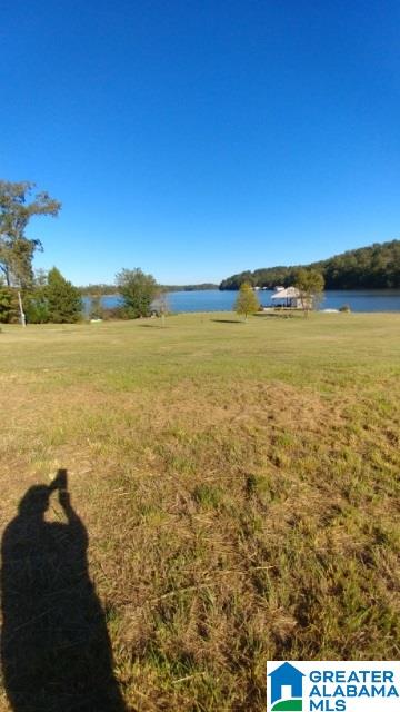 160 Holiday Estates Road, Unit 1 Ashville, AL 35953 - Photo 7 of 11