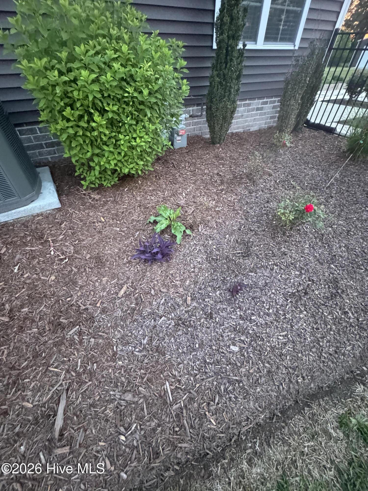 2737 Cox Farm Road Greenville, NC 27858 - Photo 73 of 79 IMG_4128