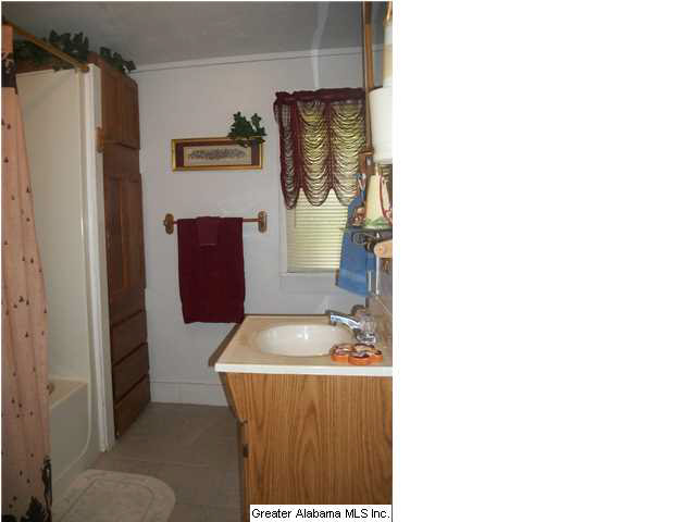 435 Omaha Road Roanoke, AL 36274 - Photo 5 of 16 Gallery Image 5