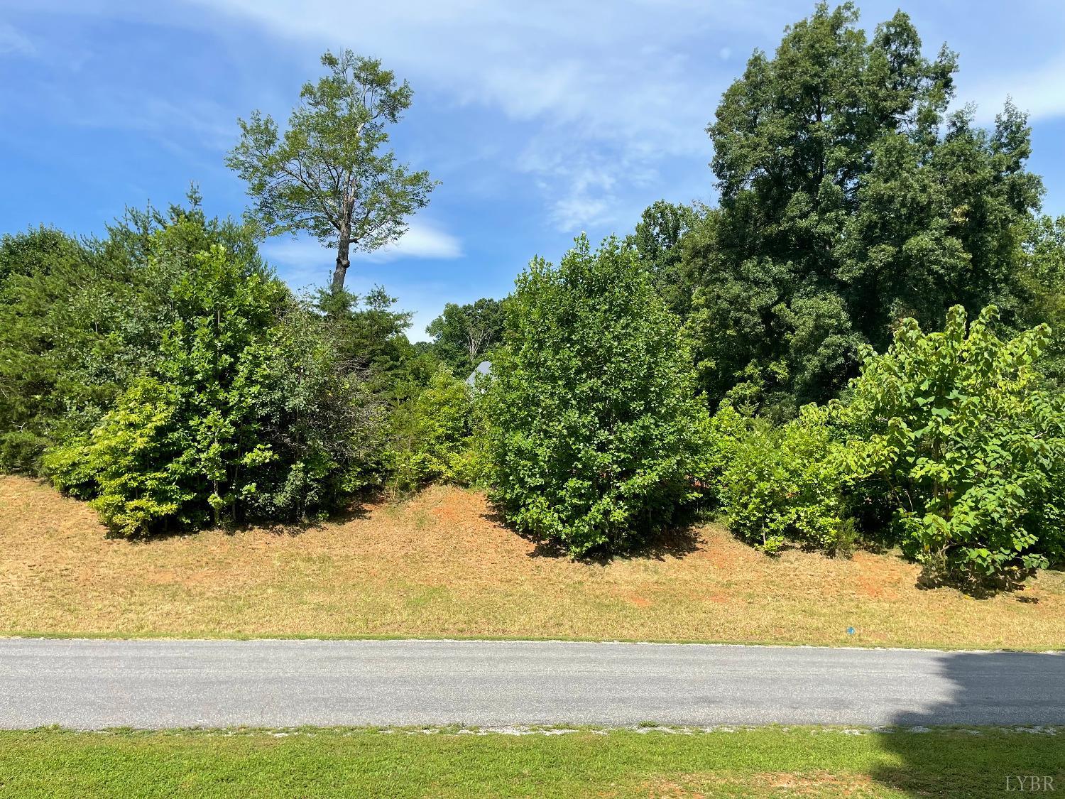 0 Aftons Meadow Road Vinton, VA 24179 - Photo 1 of 2 Gallery Image 1