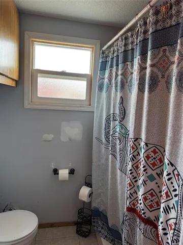 a bathroom with a toilet and shower curtain